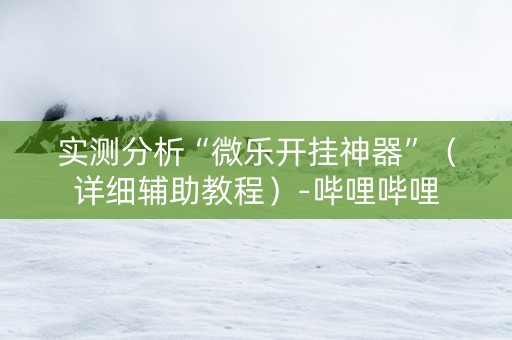 实测分析“微乐开挂神器”（详细辅助教程）-哔哩哔哩