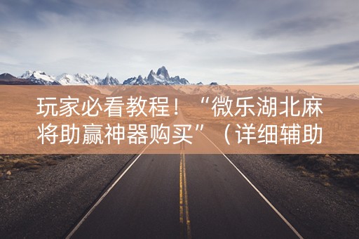 玩家必看教程！“微乐湖北麻将助赢神器购买”（详细辅助教程）-哔哩哔哩