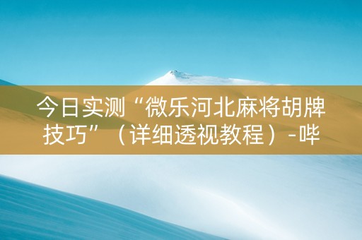 今日实测“微乐河北麻将胡牌技巧”（详细透视教程）-哔哩哔哩