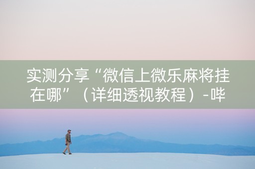 实测分享“微信上微乐麻将挂在哪”（详细透视教程）-哔哩哔哩