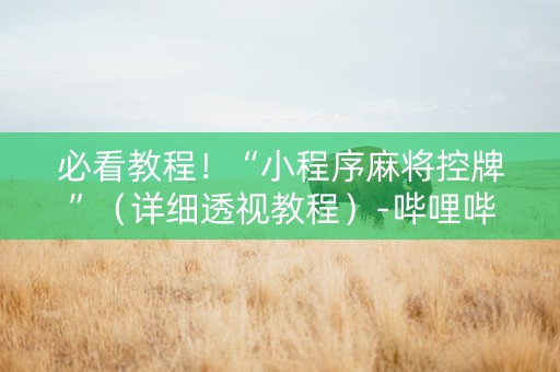 必看教程！“小程序麻将控牌”（详细透视教程）-哔哩哔哩
