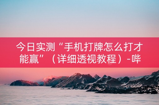 今日实测“手机打牌怎么打才能赢”（详细透视教程）-哔哩哔哩
