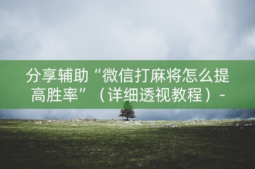 分享辅助“微信打麻将怎么提高胜率”（详细透视教程）-哔哩哔哩