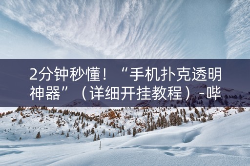 2分钟秒懂！“手机扑克透明神器”（详细开挂教程）-哔哩哔哩