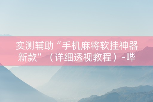实测辅助“手机麻将软挂神器新款”（详细透视教程）-哔哩哔哩