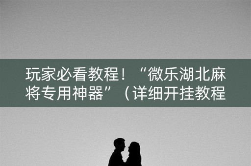 玩家必看教程！“微乐湖北麻将专用神器”（详细开挂教程）-哔哩哔哩