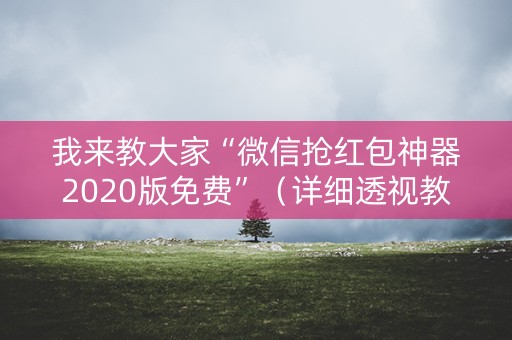 我来教大家“微信抢红包神器2020版免费”（详细透视教程）-哔哩哔哩