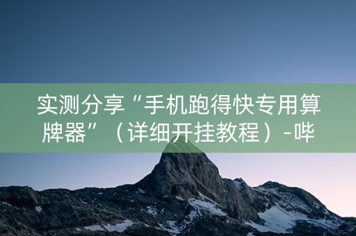 实测分享“手机跑得快专用算牌器”（详细开挂教程）-哔哩哔哩