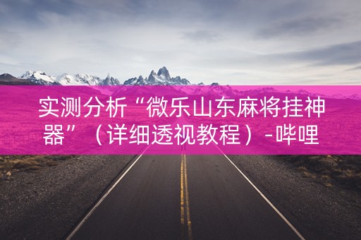 实测分析“微乐山东麻将挂神器”（详细透视教程）-哔哩哔哩