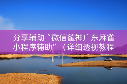 分享辅助“微信雀神广东麻雀小程序辅助”（详细透视教程）-哔哩哔哩