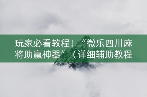 玩家必看教程！“微乐四川麻将助赢神器”（详细辅助教程）-哔哩哔哩