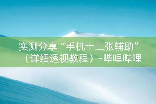实测分享“手机十三张辅助”（详细透视教程）-哔哩哔哩