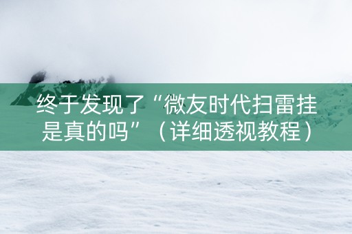 终于发现了“微友时代扫雷挂是真的吗”（详细透视教程）-哔哩哔哩