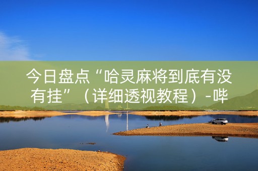 今日盘点“哈灵麻将到底有没有挂”（详细透视教程）-哔哩哔哩