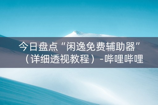 今日盘点“闲逸免费辅助器”（详细透视教程）-哔哩哔哩