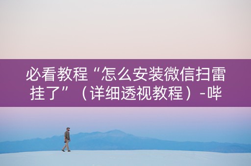 必看教程“怎么安装微信扫雷挂了”（详细透视教程）-哔哩哔哩