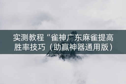 实测教程“雀神广东麻雀提高胜率技巧（助赢神器通用版）
