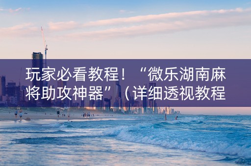 玩家必看教程！“微乐湖南麻将助攻神器”（详细透视教程）-哔哩哔哩