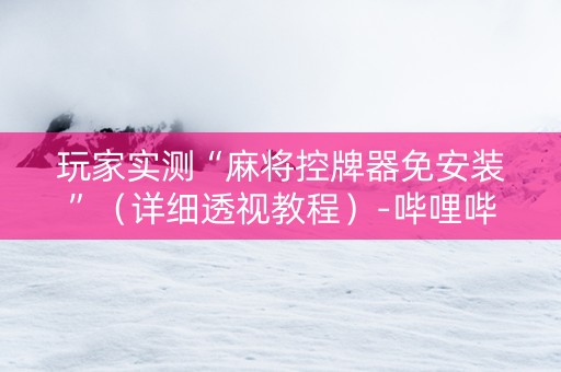 玩家实测“麻将控牌器免安装”（详细透视教程）-哔哩哔哩