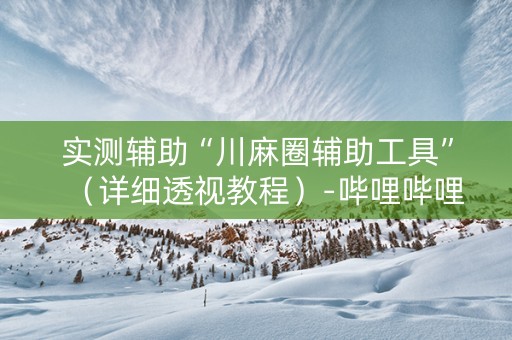 实测辅助“川麻圈辅助工具”（详细透视教程）-哔哩哔哩