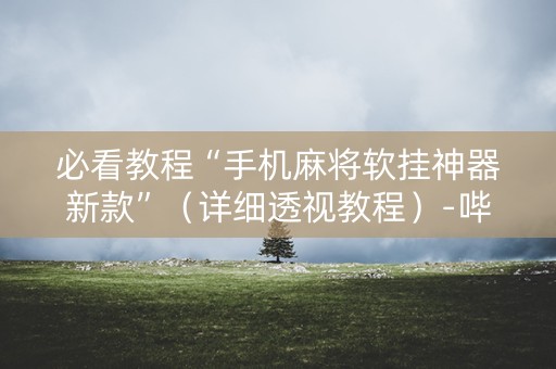 必看教程“手机麻将软挂神器新款”（详细透视教程）-哔哩哔哩