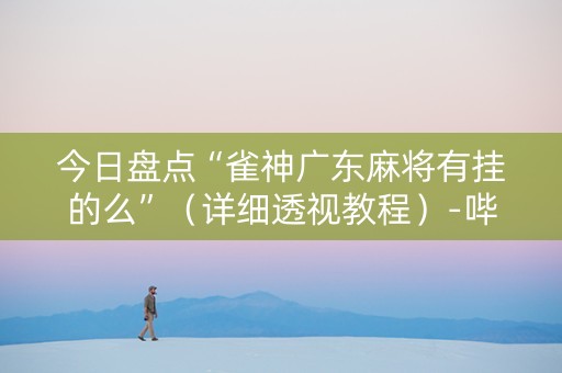 今日盘点“雀神广东麻将有挂的么”（详细透视教程）-哔哩哔哩