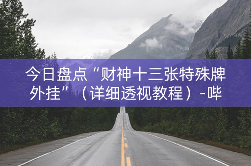 今日盘点“财神十三张特殊牌外挂”（详细透视教程）-哔哩哔哩