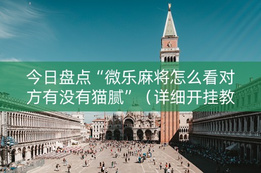 今日盘点“微乐麻将怎么看对方有没有猫腻”（详细开挂教程）-哔哩哔哩
