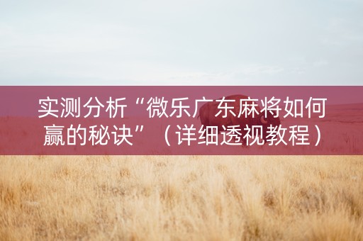 实测分析“微乐广东麻将如何赢的秘诀”（详细透视教程）-哔哩哔哩