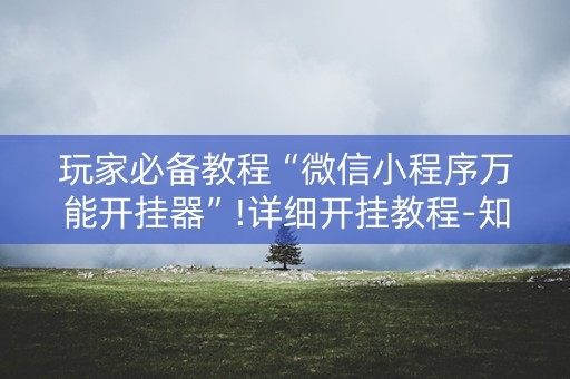 玩家必备教程“微信小程序万能开挂器”!详细开挂教程-知乎