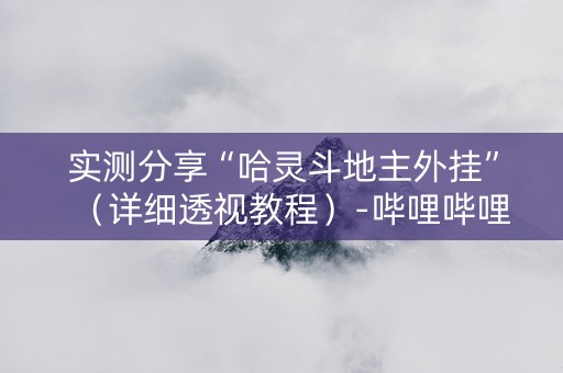 实测分享“哈灵斗地主外挂”（详细透视教程）-哔哩哔哩