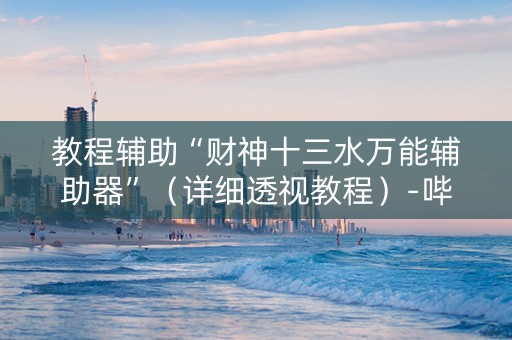 教程辅助“财神十三水万能辅助器”（详细透视教程）-哔哩哔哩