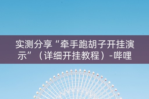 实测分享“牵手跑胡子开挂演示”（详细开挂教程）-哔哩哔哩