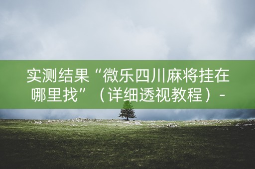 实测结果“微乐四川麻将挂在哪里找”（详细透视教程）-哔哩哔哩