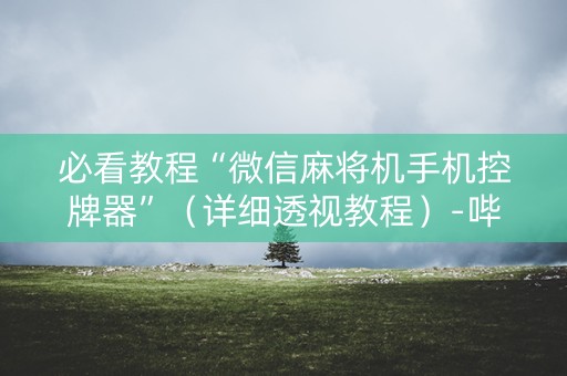 必看教程“微信麻将机手机控牌器”（详细透视教程）-哔哩哔哩