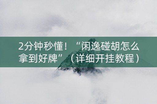 2分钟秒懂！“闲逸碰胡怎么拿到好牌”（详细开挂教程）-哔哩哔哩