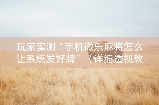 玩家实测“手机微乐麻将怎么让系统发好牌”（详细透视教程）-哔哩哔哩
