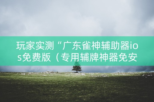 玩家实测“广东雀神辅助器ios免费版（专用辅牌神器免安装）