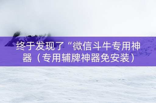 终于发现了“微信斗牛专用神器（专用辅牌神器免安装）