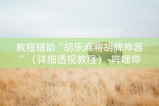 教程辅助“胡乐麻将胡牌神器”（详细透视教程）-哔哩哔哩