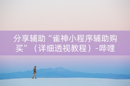 分享辅助“雀神小程序辅助购买”（详细透视教程）-哔哩哔哩