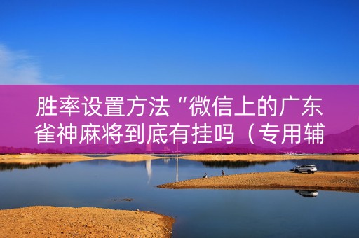 胜率设置方法“微信上的广东雀神麻将到底有挂吗（专用辅牌神器免安装）