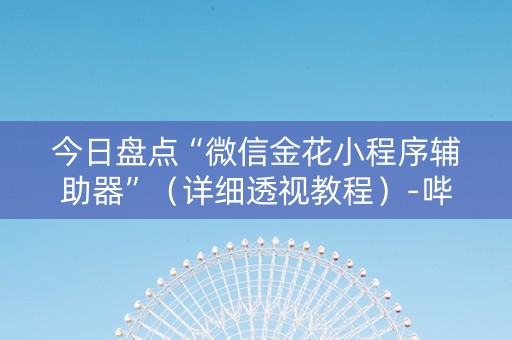 今日盘点“微信金花小程序辅助器”（详细透视教程）-哔哩哔哩