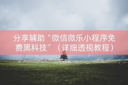 分享辅助“微信微乐小程序免费黑科技”（详细透视教程）-哔哩哔哩