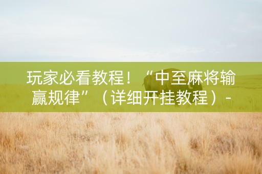玩家必看教程！“中至麻将输赢规律”（详细开挂教程）-哔哩哔哩