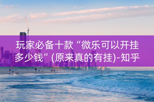 玩家必备十款“微乐可以开挂多少钱”(原来真的有挂)-知乎