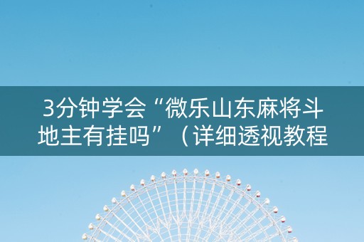 3分钟学会“微乐山东麻将斗地主有挂吗”（详细透视教程）-哔哩哔哩