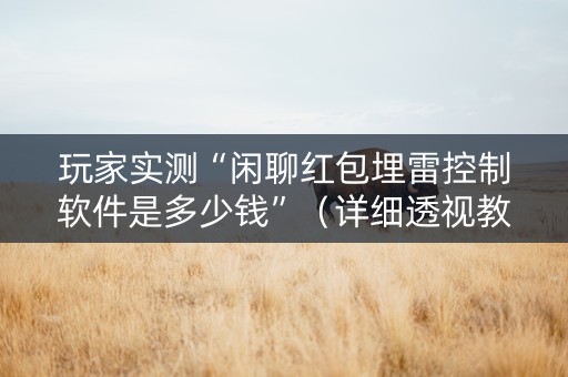 玩家实测“闲聊红包埋雷控制软件是多少钱”（详细透视教程）-哔哩哔哩