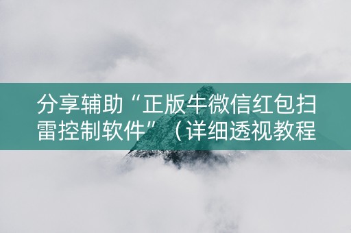 分享辅助“正版牛微信红包扫雷控制软件”（详细透视教程）-哔哩哔哩