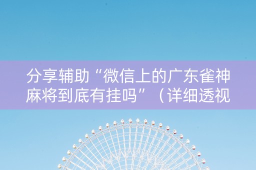 分享辅助“微信上的广东雀神麻将到底有挂吗”（详细透视教程）-哔哩哔哩